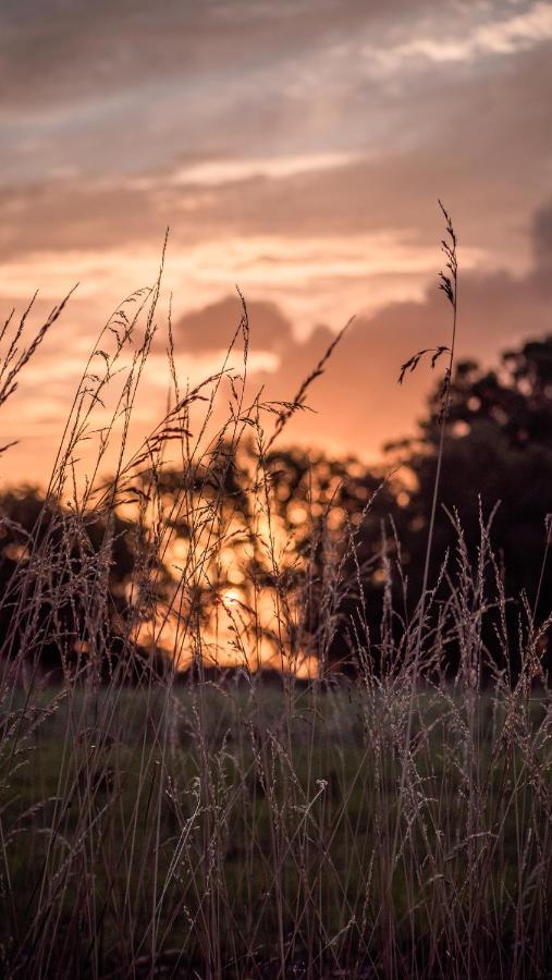 Pampas Del Sur Hotel Y Spa De Campo Cañuelas Εξωτερικό φωτογραφία
